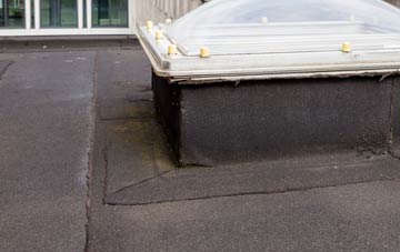 disadvantages of East Pennard flat roofs