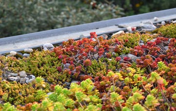 the cost of East Pennard green roof installation