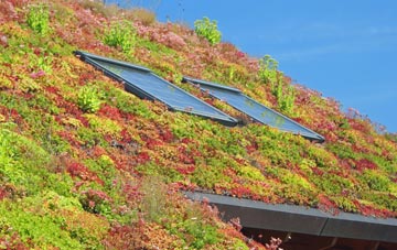 East Pennard living roof systems
