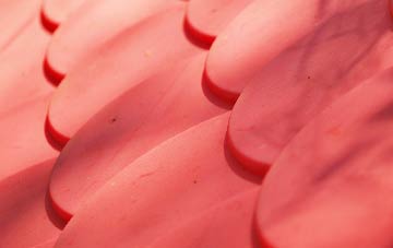 East Pennard plastic roof costs