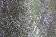 East Pennard fibreglass roof work